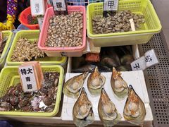 -蛇口市场