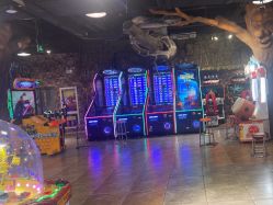 -卡通尼·Safari非洲探索乐园·生日会(金桥国际商业广场店)