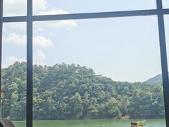 -浔味·山屿湖·正宗全鱼宴老字号