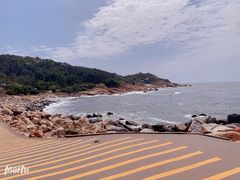 -广东惠东海龟国家级自然保护区