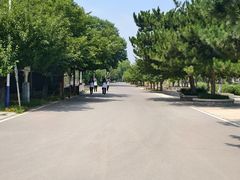-石家庄市植物园