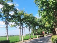-嘉北郊野公园