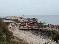 -养马岛旅游度假区