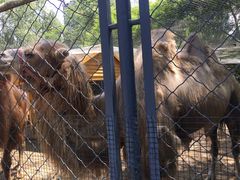 -长白岛森林公园