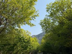 -佛慧山