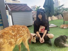 -浣熊柯尔鸭土拨鼠·电玩咖