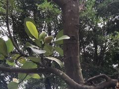 -福建鲤鱼洲酒店