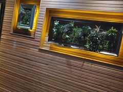 -前海沿·青岛菜(大拇指广场石老人店)