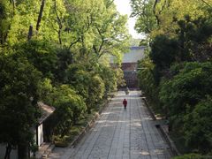 -灵谷景区