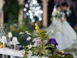 -天邑国际酒店·宴会厅