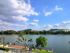 -羊山湖公园