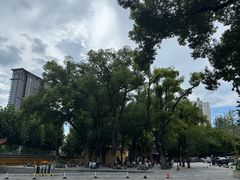 -宝通禅寺