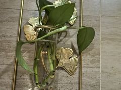 -懒人盐府人家(安贞店)