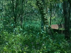 -西湖风景区-江洋畈生态公园
