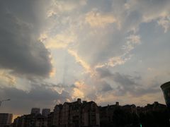 -味到1981日照海鲜·渔饺子