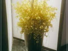 -鉴川·川菜传承(星汇两江店)