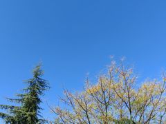 -白鹭湾湿地公园