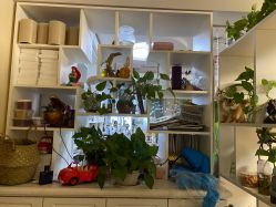 -美甲日记美睫专业纹绣半永久