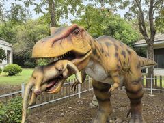 -上海海湾国家森林公园