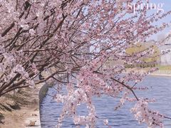 -坝河休闲公园