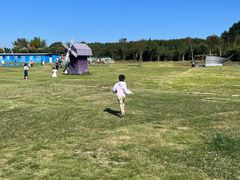 -武汉紫薇都市田园