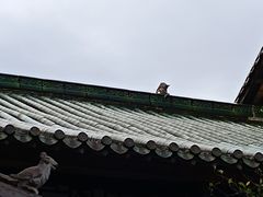 -南华禅寺