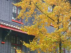 -四川大学(华西校区)