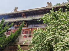 -潭柘寺景区