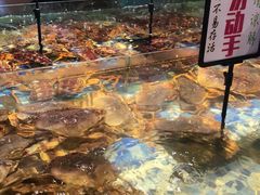 -森谷美食公园(杨行店)