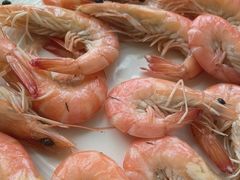 -视界美食自助餐厅·石家庄希尔顿酒店