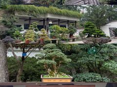 -南山植物园