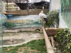 -成都动物园