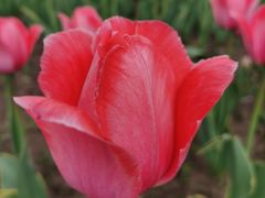 -长春公园(普阳街道)