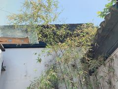 -苏州园林博物馆