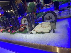 -加餐海鲜自助(宝龙一城店)