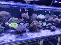 -海合安武汉极地海洋公园