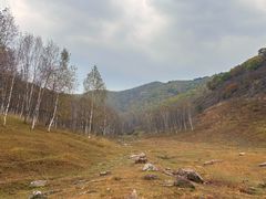 -御道口草原森林风景区