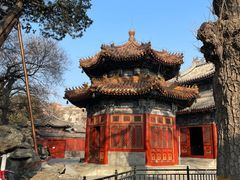 -北京艺术博物馆(万寿寺)
