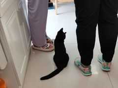 -美联众合24小时·皮肤科·外科·全科诊疗中心(华苑分院)