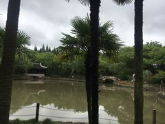 -瀛洲公园