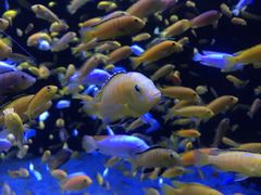 -成都浩海立方海洋公园