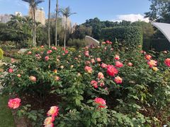 -人民公园(罗湖区)