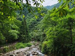 -西岭雪山大飞水景区