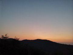 -长虫山生态公园风景林