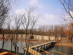 -东郊湿地公园