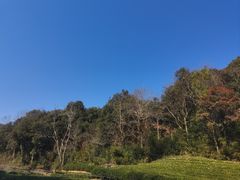-听风阁农家私房菜茶楼(龙坞店)