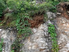 -府君山公园