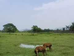 -良渚古城遗址公园