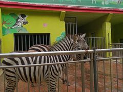 -荆州中山公园动物园