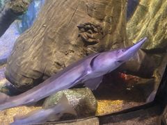 -沈阳海洋探索中心